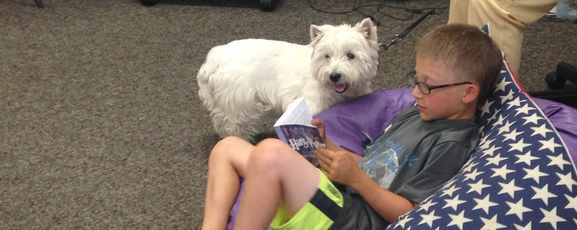 NPSD - Reading time with Dog
