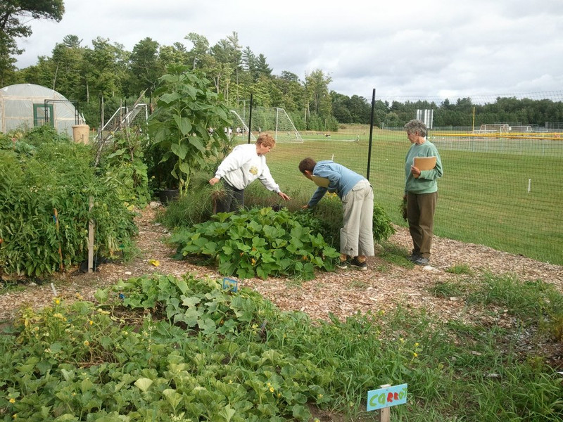 Community members gardening