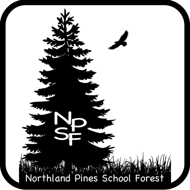 school forest icon